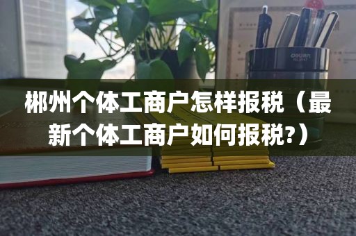 郴州个体工商户怎样报税（最新个体工商户如何报税?）