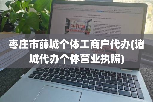 枣庄市薛城个体工商户代办(诸城代办个体营业执照)