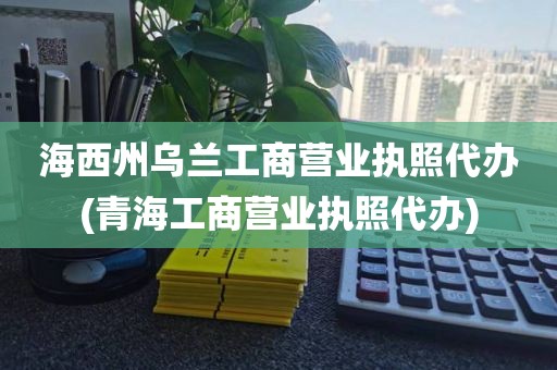 海西州乌兰工商营业执照代办(青海工商营业执照代办)