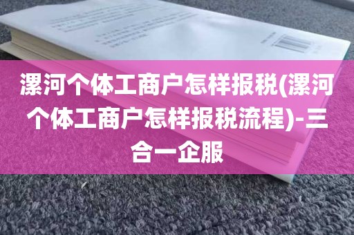 漯河个体工商户怎样报税(漯河个体工商户怎样报税流程)-三合一企服