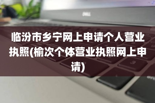 临汾市乡宁网上申请个人营业执照(榆次个体营业执照网上申请)