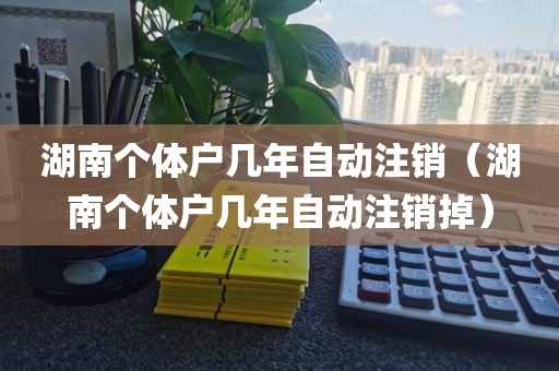湖南个体户几年自动注销（湖南个体户几年自动注销掉）