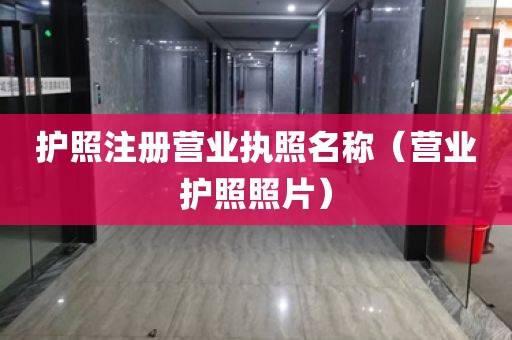 护照注册营业执照名称（营业护照照片）