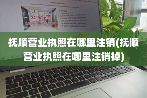 抚顺营业执照在哪里注销(抚顺营业执照在哪里注销掉)