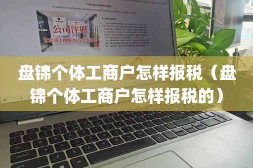 盘锦个体工商户怎样报税（盘锦个体工商户怎样报税的）