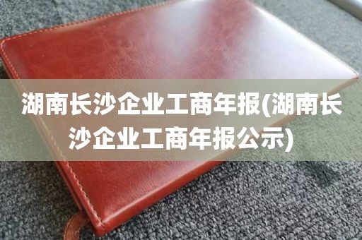 湖南长沙企业工商年报(湖南长沙企业工商年报公示)