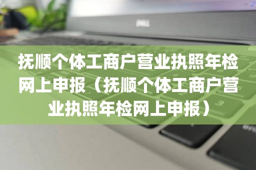 抚顺个体工商户营业执照年检网上申报（抚顺个体工商户营业执照年检网上申报）