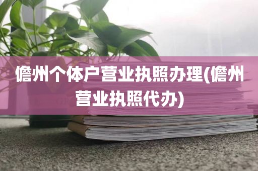儋州个体户营业执照办理(儋州营业执照代办)