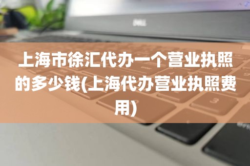 上海市徐汇代办一个营业执照的多少钱(上海代办营业执照费用)