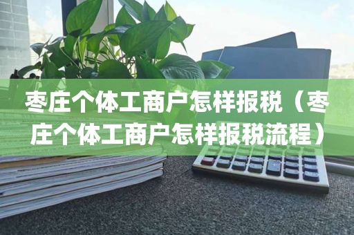 枣庄个体工商户怎样报税（枣庄个体工商户怎样报税流程）