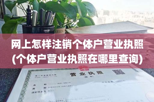网上怎样注销个体户营业执照(个体户营业执照在哪里查询)