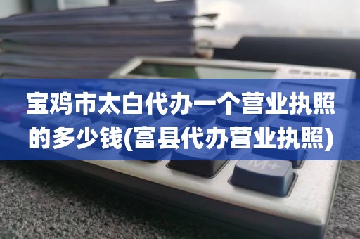宝鸡市太白代办一个营业执照的多少钱(富县代办营业执照)