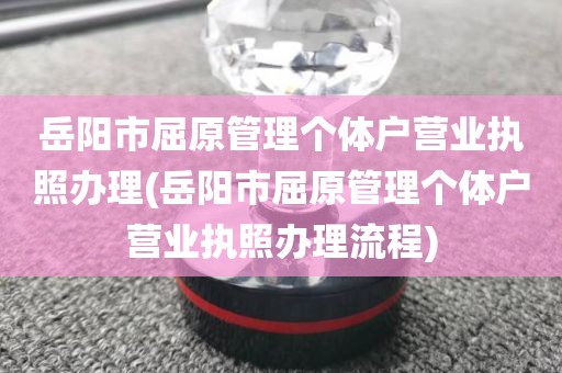 岳阳市屈原管理个体户营业执照办理(岳阳市屈原管理个体户营业执照办理流程)