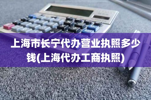 上海市长宁代办营业执照多少钱(上海代办工商执照)