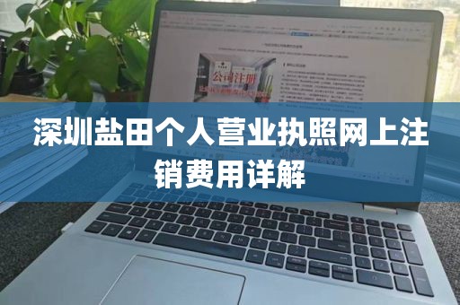 深圳盐田个人营业执照网上注销费用详解