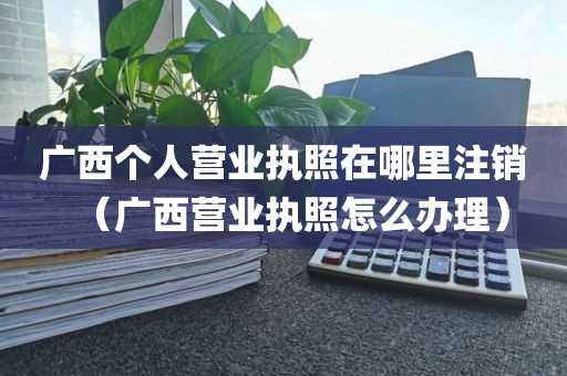 广西个人营业执照在哪里注销（广西营业执照怎么办理）