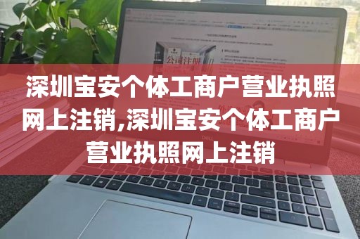 深圳宝安个体工商户营业执照网上注销,深圳宝安个体工商户营业执照网上注销