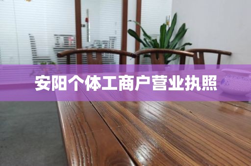 安阳个体工商户营业执照