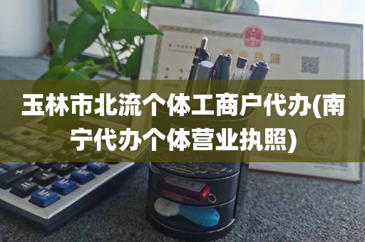 玉林市北流个体工商户代办(南宁代办个体营业执照)