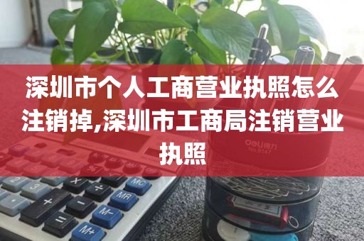 深圳市个人工商营业执照怎么注销掉,深圳市工商局注销营业执照