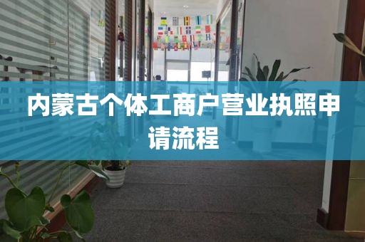 内蒙古个体工商户营业执照申请流程