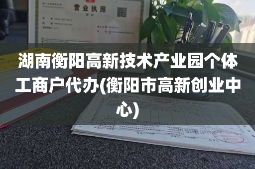 湖南衡阳高新技术产业园个体工商户代办(衡阳市高新创业中心)