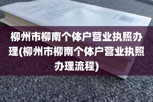 柳州市柳南个体户营业执照办理(柳州市柳南个体户营业执照办理流程)