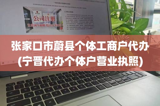 张家口市蔚县个体工商户代办(宁晋代办个体户营业执照)