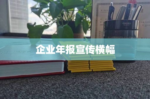 企业年报宣传横幅