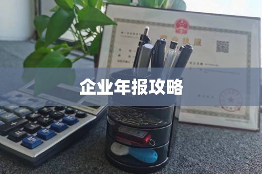 企业年报攻略