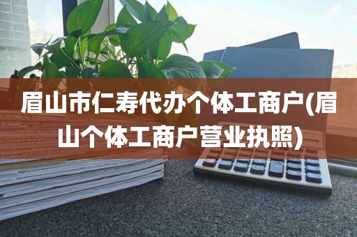 眉山市仁寿代办个体工商户(眉山个体工商户营业执照)