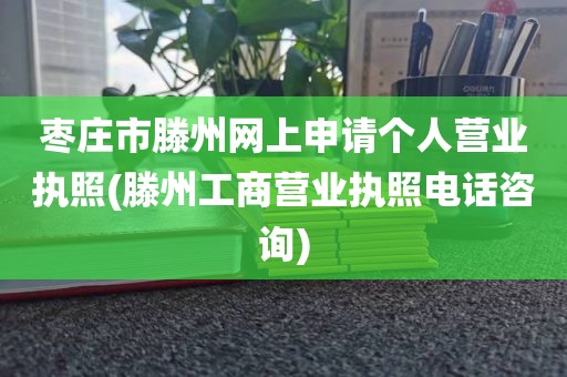 枣庄市滕州网上申请个人营业执照(滕州工商营业执照电话咨询)