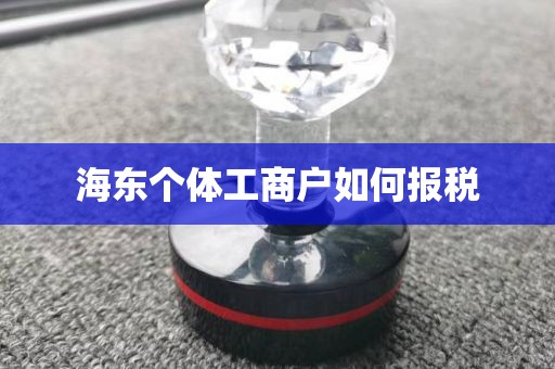 海东个体工商户如何报税