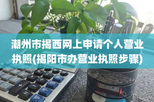 潮州市揭西网上申请个人营业执照(揭阳市办营业执照步骤)