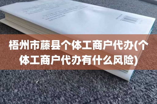 梧州市藤县个体工商户代办(个体工商户代办有什么风险)