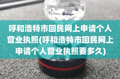 呼和浩特市回民网上申请个人营业执照(呼和浩特市回民网上申请个人营业执照要多久)