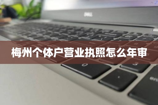 梅州个体户营业执照怎么年审