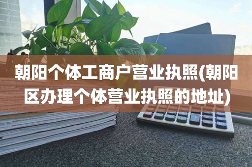 朝阳个体工商户营业执照(朝阳区办理个体营业执照的地址)
