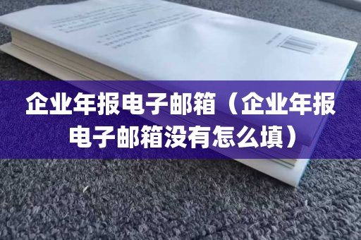 企业年报电子邮箱（企业年报电子邮箱没有怎么填）