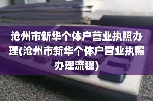 沧州市新华个体户营业执照办理(沧州市新华个体户营业执照办理流程)