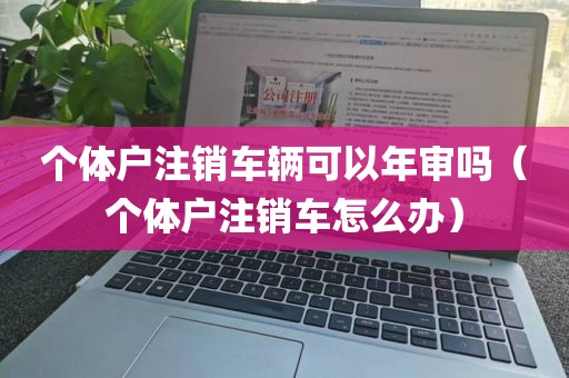 个体户注销车辆可以年审吗（个体户注销车怎么办）