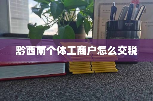 黔西南个体工商户怎么交税
