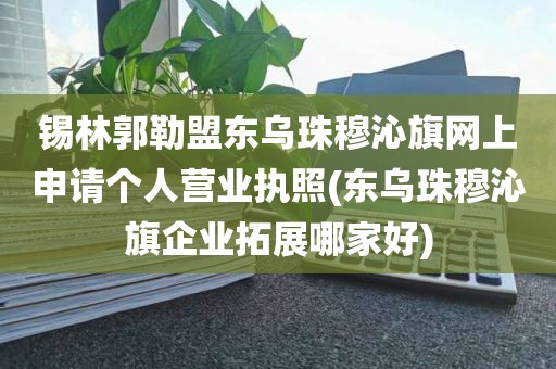 锡林郭勒盟东乌珠穆沁旗网上申请个人营业执照(东乌珠穆沁旗企业拓展哪家好)