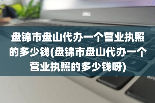盘锦市盘山代办一个营业执照的多少钱(盘锦市盘山代办一个营业执照的多少钱呀)