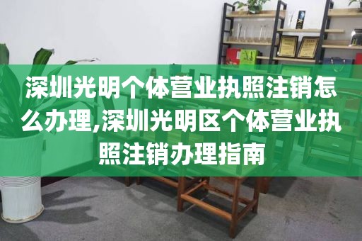 深圳光明个体营业执照注销怎么办理,深圳光明区个体营业执照注销办理指南