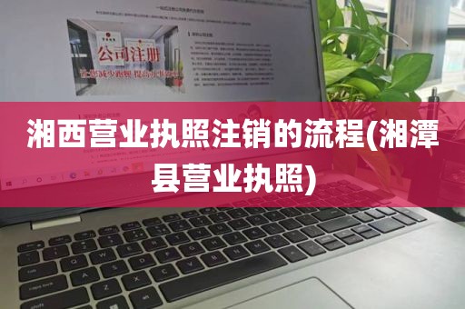 湘西营业执照注销的流程(湘潭县营业执照)