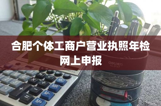 合肥个体工商户营业执照年检网上申报