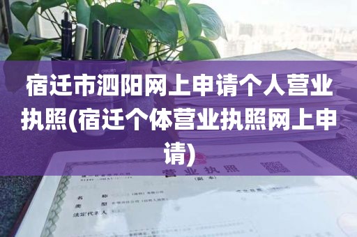 宿迁市泗阳网上申请个人营业执照(宿迁个体营业执照网上申请)