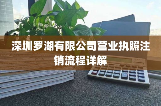 深圳罗湖有限公司营业执照注销流程详解