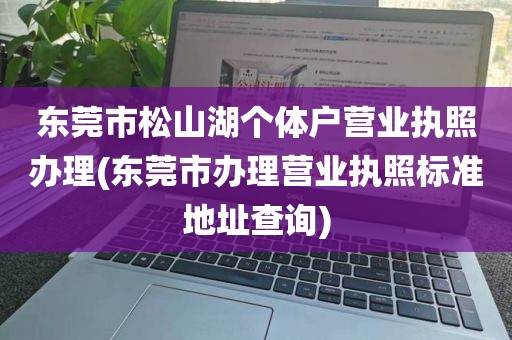 东莞市松山湖个体户营业执照办理(东莞市办理营业执照标准地址查询)
